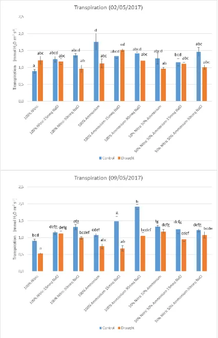 Figure 3. Transpiration in leaves for plants watered with different nutritive solutions