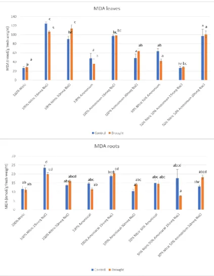Figure 5. MDA  concentration in leaves and roots  for plants watered with different nutritive  solutions