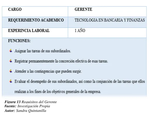 Figura 13 Requisitos del Gerente