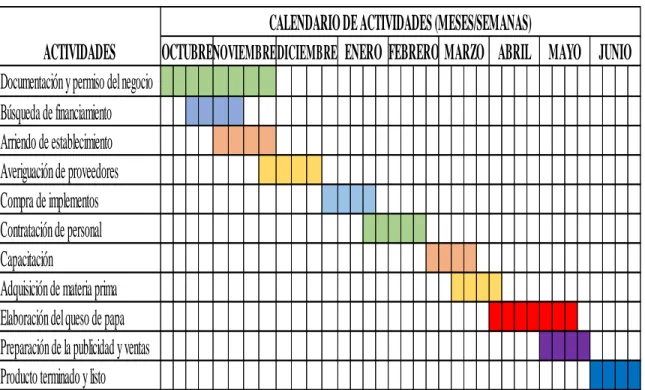 Tabla 13 Cronograma de Actividades. 
