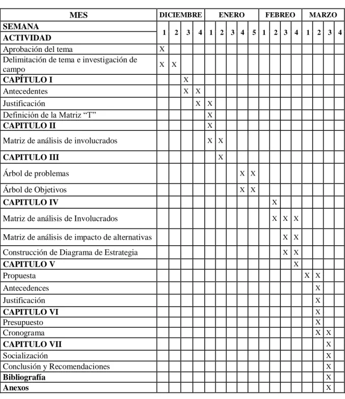 Tabla 7: Cronograma de Actividades 
