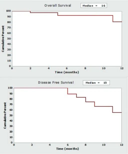 Figure 2. Curves of survival at the follow-up year (Kaplan-Meier). 