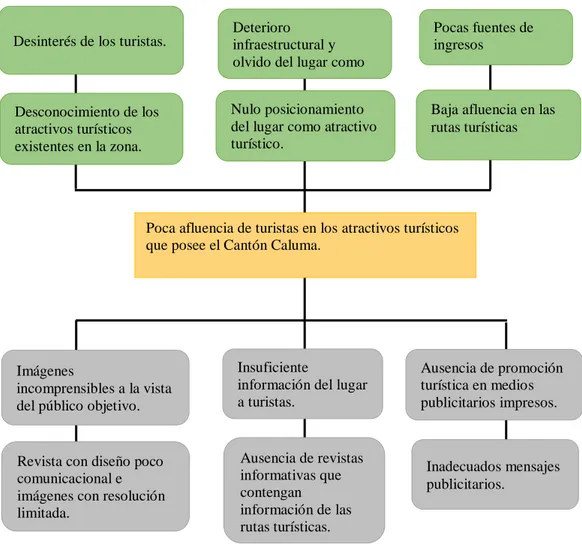 Figura 2: Árbol de Problemas del Cantón Caluma, 2019. 