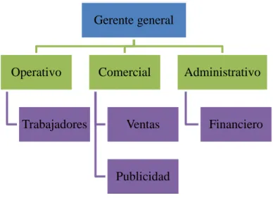 Figura 6. Organigrama estructural 