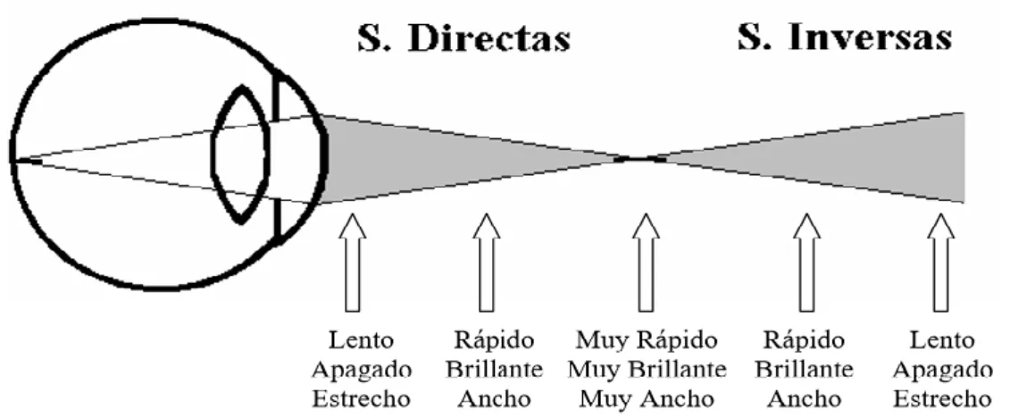 Figura 9 Tipos de Sombras 