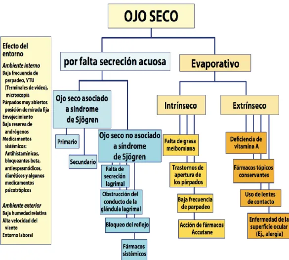Figura 6 Clasificación de ojo seco 