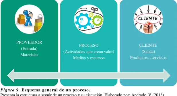 Figura  9.  Esquema  general  de un proceso . 