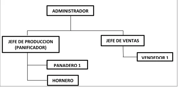 Figura 6  Organigrama Empresarial  ADMINISTRADOR  JEFE DE PRODUCCION  (PANIFICADOR)  JEFE DE VENTAS  PANADERO 1  HORNERO  VENDEDOR 1 