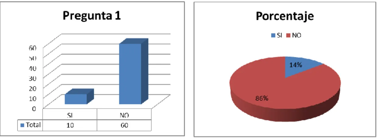 Figura N 9 Pregunta 1 