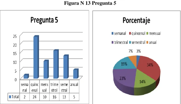 Figura N 13 Pregunta 5 
