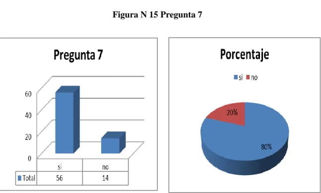 Figura N 15 Pregunta 7 