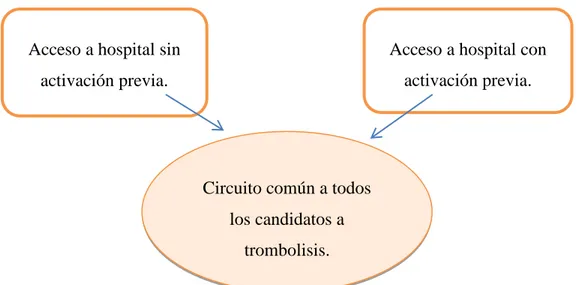 Figura 6: Fase común independientemente del acceso (Elaboración propia)  