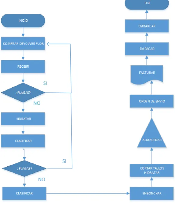 Figura 9. Diagrama de Flujo Proyecto Exportación de Rosas. 