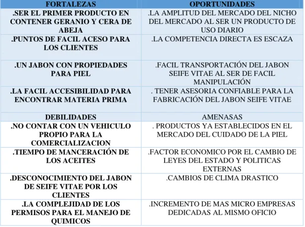 Tabla 9 Análisis FODA  