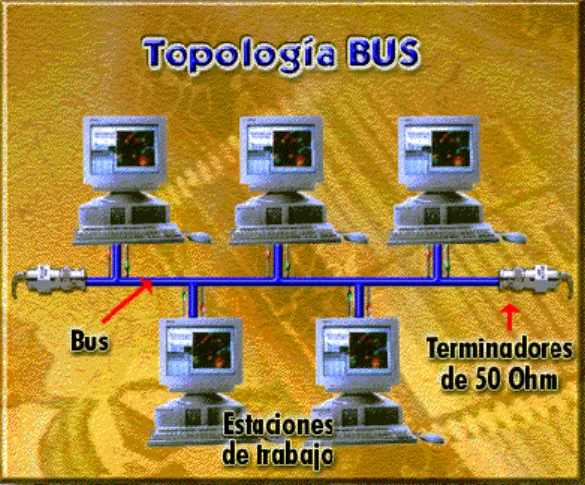 Gráfico N.- 5. 