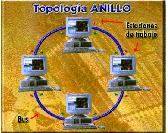 Gráfico N.- 6. 