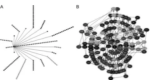 Fig. 2. The non-embedded (A) and embedded (B) Star Graphs for 1BZ4, chain A. 