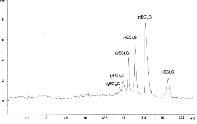 Fig.  2 shows  the  electropherogram  of  the  test  mixture  of  class  III  MTs  containing  6  different  polypeptides