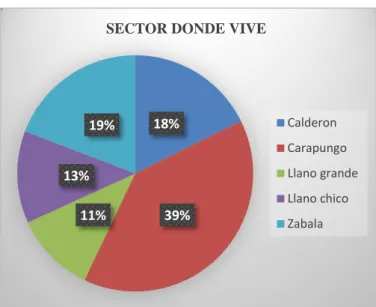 Ilustración 3 Sector Donde Vive 