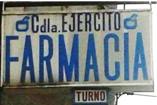 Gráfico N° 10  RÓTULO  