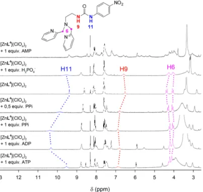 Figure 6.  1 H NMR spectra (300 MHz, 298 K) recorded for the [ZnL 4 ] 2+  complex in the presence of  different anions as their sodium salts in dmso-d 6 