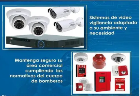 Figura Nº 8. Seguridad 