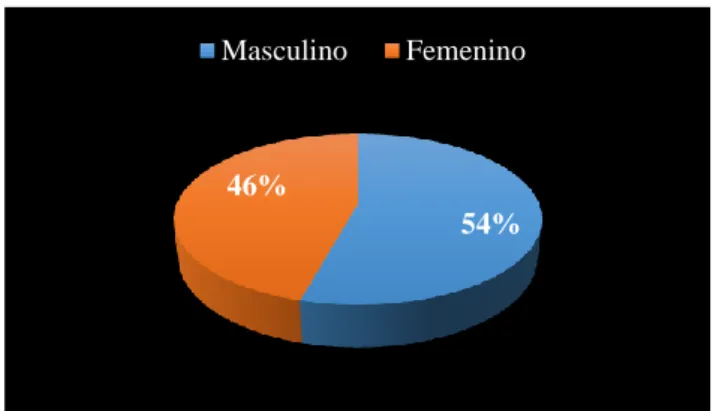 Figura 15 Género 