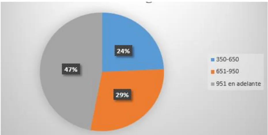 Tabla 20   Nivel de Ingresos  Datos  Frecuencia  %  350-650  90  24%  651-950  110  29%  951 en  adelante  180  47%  Total  380  100% 