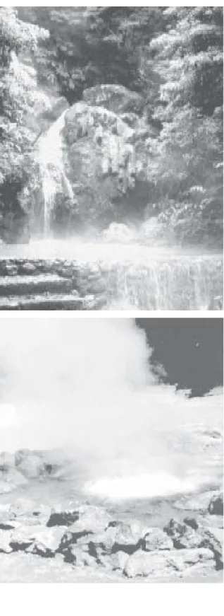 Figura 4. Nascente de água termal no Maciço Vulcânico de Água de Pau (Vulcão do Fogo), na ilha de S