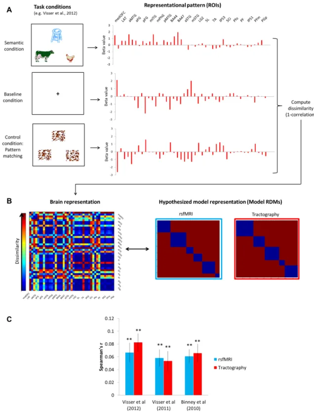 Fig. 4    Representational similarity analysis. a An example of fMRI  study (Visser et al