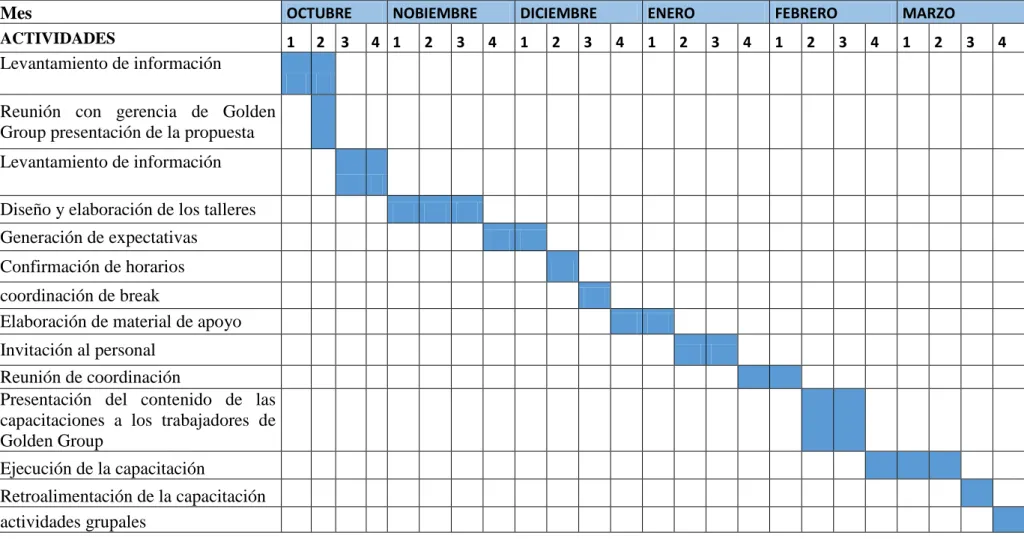 Tabla Nº 18 Cronograma 