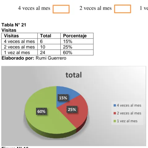 Tabla N° 21  Visitas 