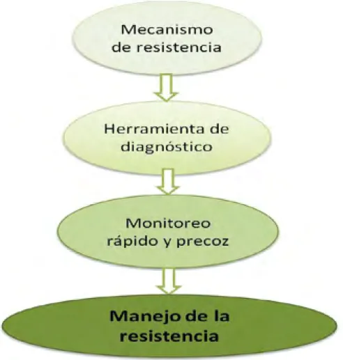 Figura 1. Esquema para el manejo de la resistencia de Ceratitis capitata a insecticidas