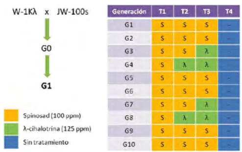 Figura 3. Simulación en laboratorio de cuatro estrategias (T1-T4) de manejo de la resistencia de Ceratitis  capitata