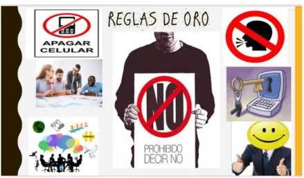 Figura N° 12 Reglas de Oro  