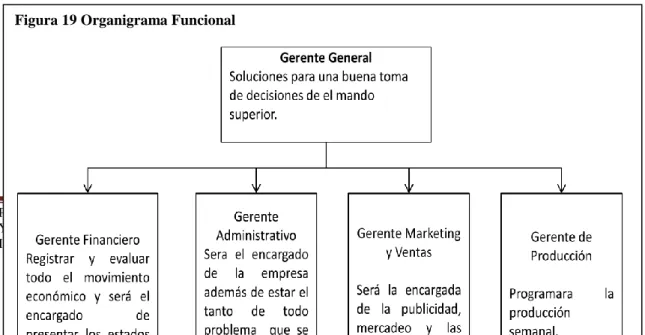 Figura 19 Organigrama Funcional 