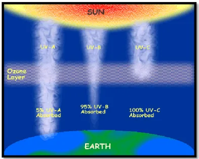 Gráfico 8: Capacidad de penetración de la radiación UV  Fuente: http://aquaflash.blogspot.com/2009 