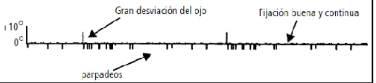 Gráfico de la mirada 