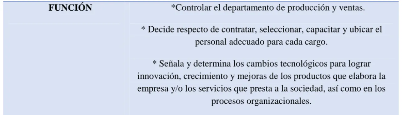 Tabla N° 13   Gerente General 