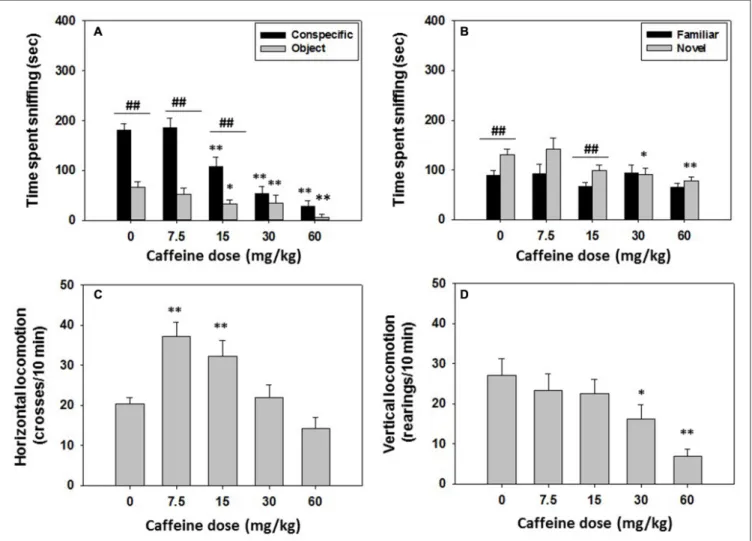 FIGURE 3 | Effect of caffeine on social preference and recognition tests. Data are expressed as mean (±SEM) of time spent sniffing (A) conspecific and object in the social preference test, (B) familiar and novel conspecifics in the social recognition test,