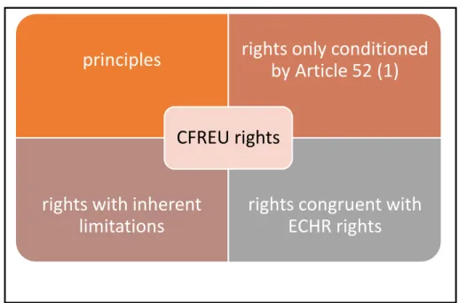 Figure 4: Diversity of Charter Rights 