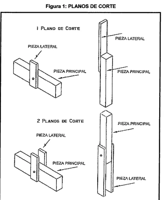 Figura 1: PLANOS DE CORTE 