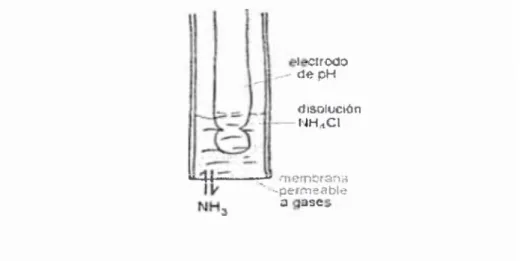 Figura 7.  Un  electrodo  de amoniaco como ejemplo de electrodo sensible a  gases