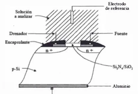 Figura 8.  Esquema del  ISFET