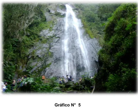 Gráfico N°  5      Cascada de Piedra    Fuente: Chiriboga 2016 