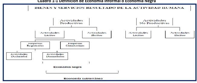 Cuadro 1-1 Definición de Economía Informal o Economía Negra 