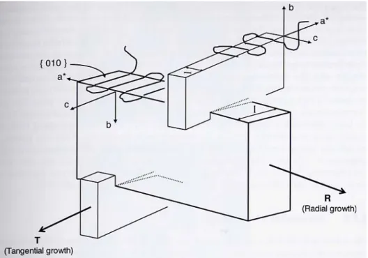 Fig. 2.7 Esquema cruzado de la morfología lamelar del Polipropileno Isotáctico  [6]