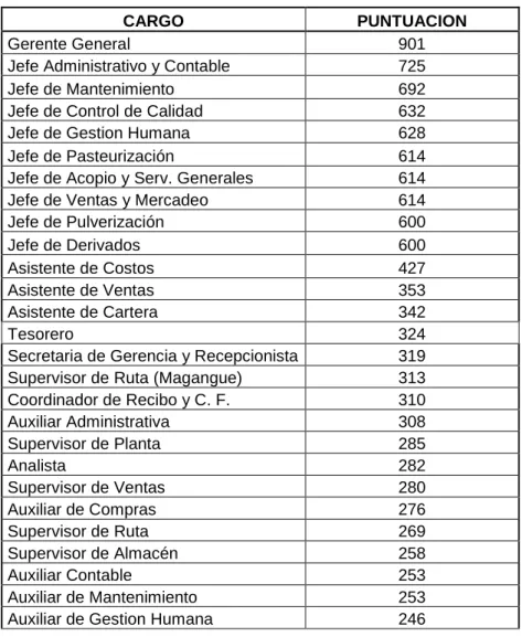 Tabla 5. Resumen de puntajes de valoración 