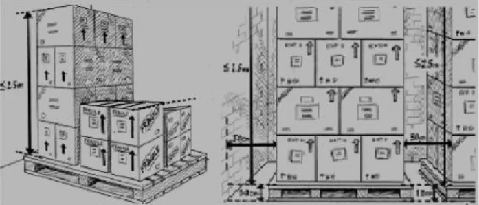 Figura  3. Ubicación de medicamentos sobre pallets 