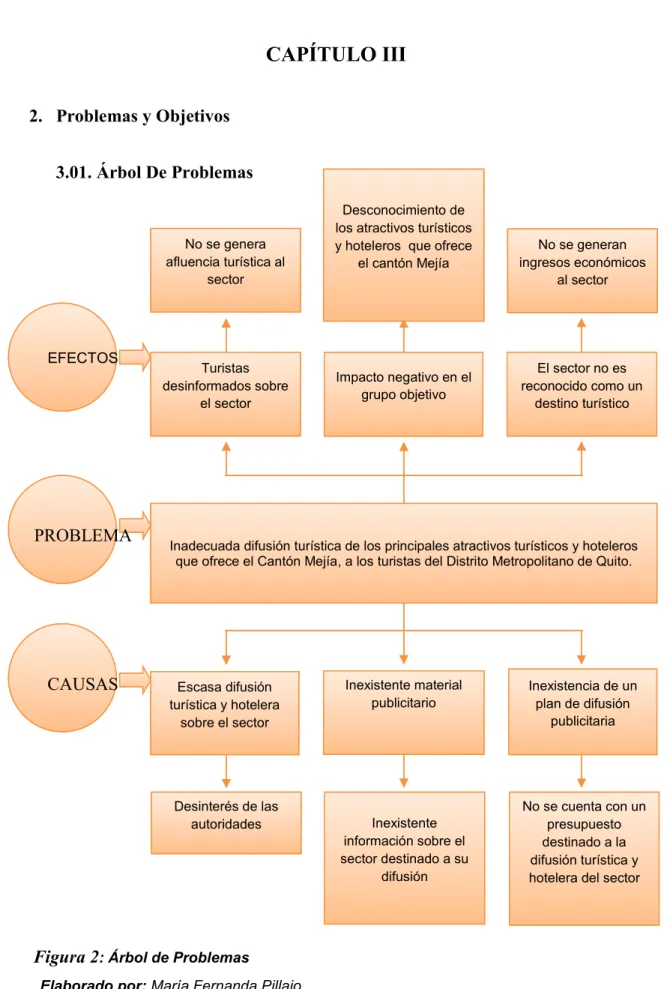 Figura 2 : Árbol de Problemas 